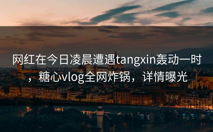 网红在今日凌晨遭遇tangxin轰动一时，糖心vlog全网炸锅，详情曝光