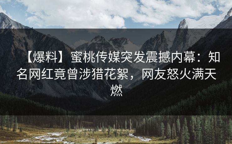 【爆料】蜜桃传媒突发震撼内幕：知名网红竟曾涉猎花絮，网友怒火满天燃