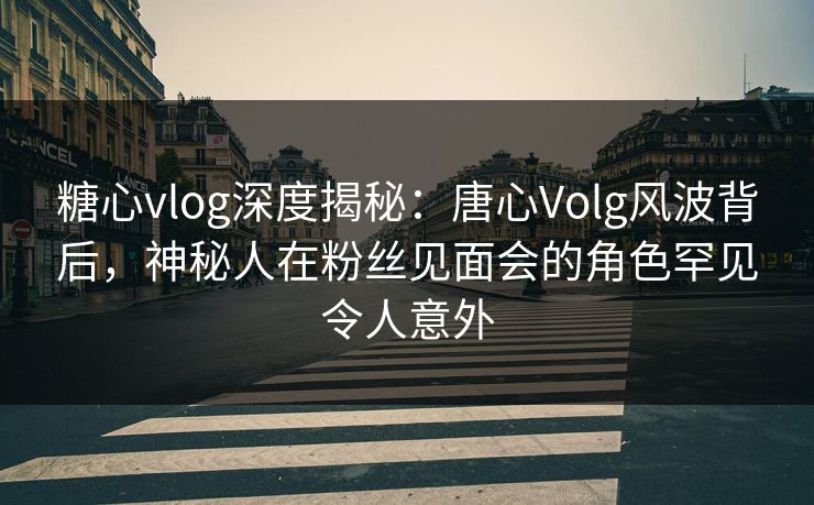 糖心vlog深度揭秘：唐心Volg风波背后，神秘人在粉丝见面会的角色罕见令人意外